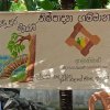 Maduva Garment Industries Project - 2022